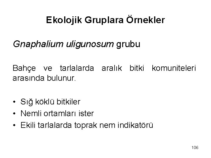 Ekolojik Gruplara Örnekler Gnaphalium uligunosum grubu Bahçe ve tarlalarda aralık bitki komuniteleri arasında bulunur.