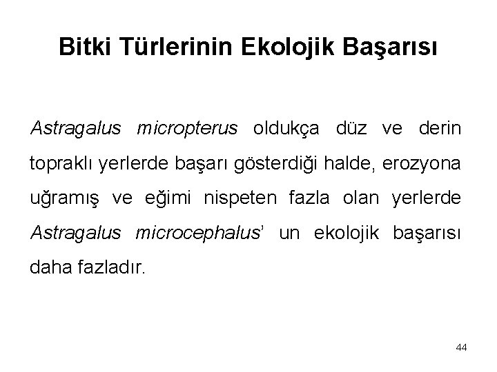 Bitki Türlerinin Ekolojik Başarısı Astragalus micropterus oldukça düz ve derin topraklı yerlerde başarı gösterdiği