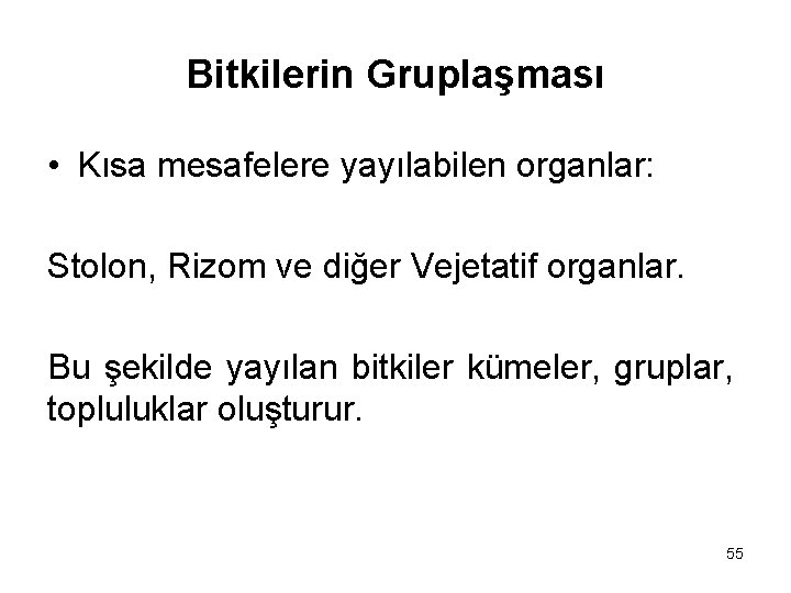 Bitkilerin Gruplaşması • Kısa mesafelere yayılabilen organlar: Stolon, Rizom ve diğer Vejetatif organlar. Bu