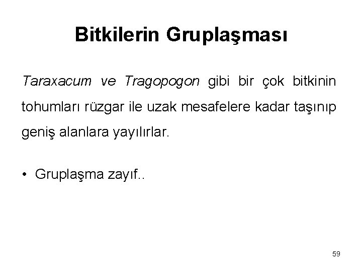 Bitkilerin Gruplaşması Taraxacum ve Tragopogon gibi bir çok bitkinin tohumları rüzgar ile uzak mesafelere