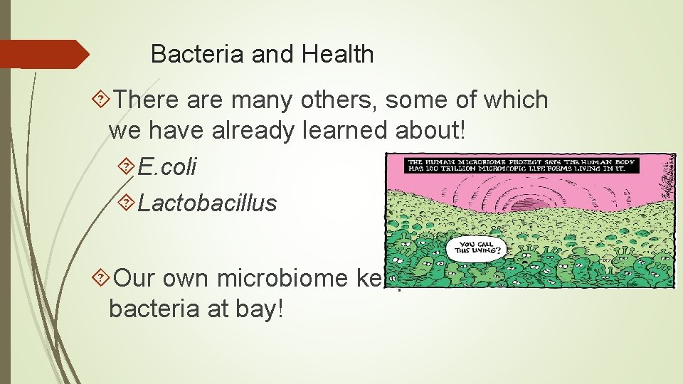 Bacteria and Health There are many others, some of which we have already learned