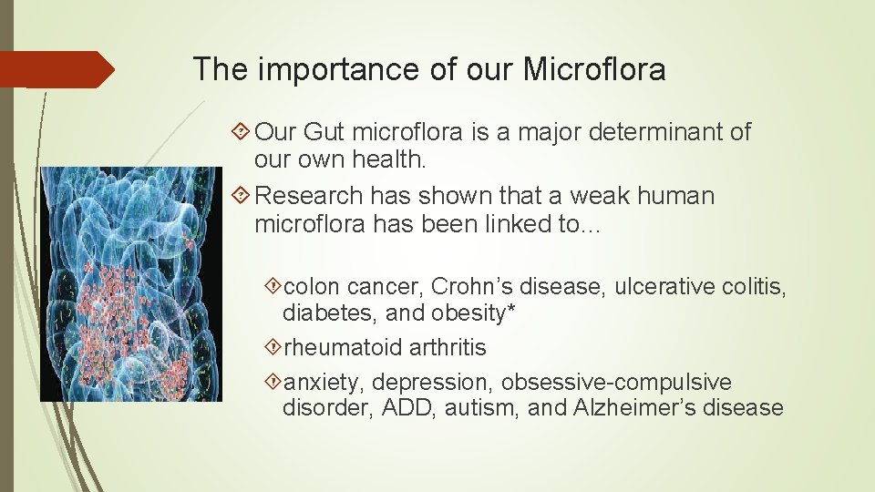The importance of our Microflora Our Gut microflora is a major determinant of our