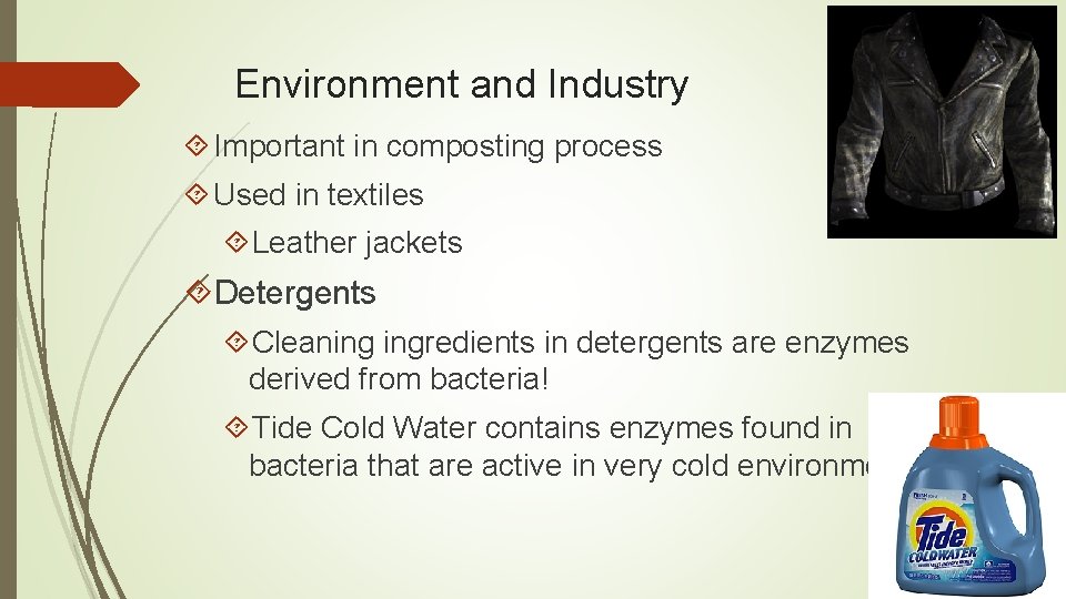 Environment and Industry Important in composting process Used in textiles Leather jackets Detergents Cleaning
