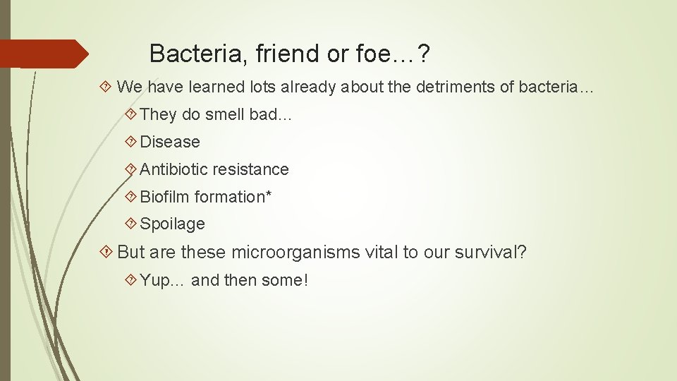 Bacteria, friend or foe…? We have learned lots already about the detriments of bacteria…