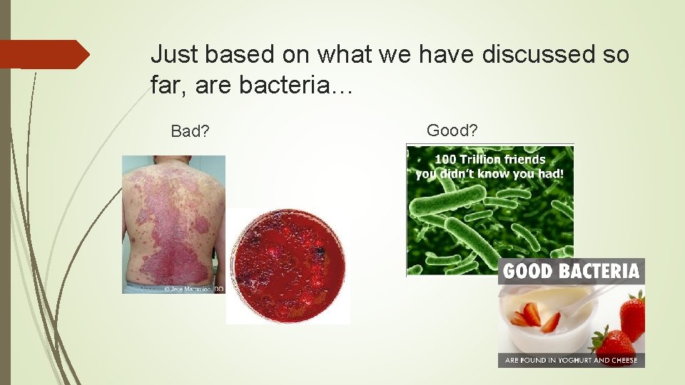 Just based on what we have discussed so far, are bacteria… Bad? Good? 