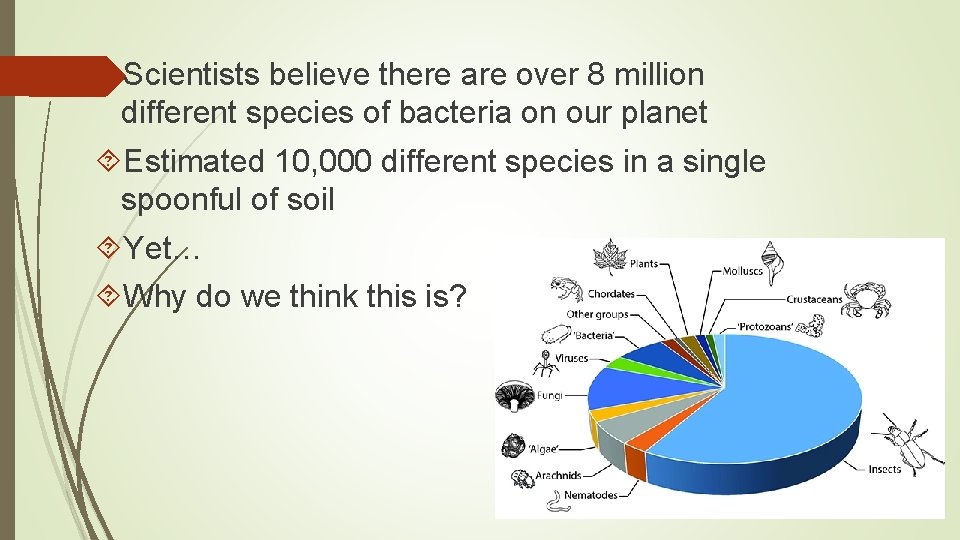  Scientists believe there are over 8 million different species of bacteria on our