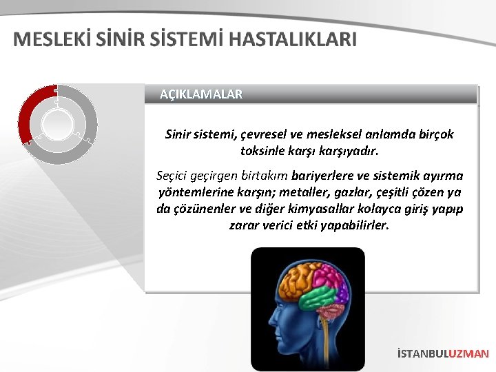 AÇIKLAMALAR Sinir sistemi, çevresel ve mesleksel anlamda birçok toksinle karşıyadır. Seçici geçirgen birtakım bariyerlere