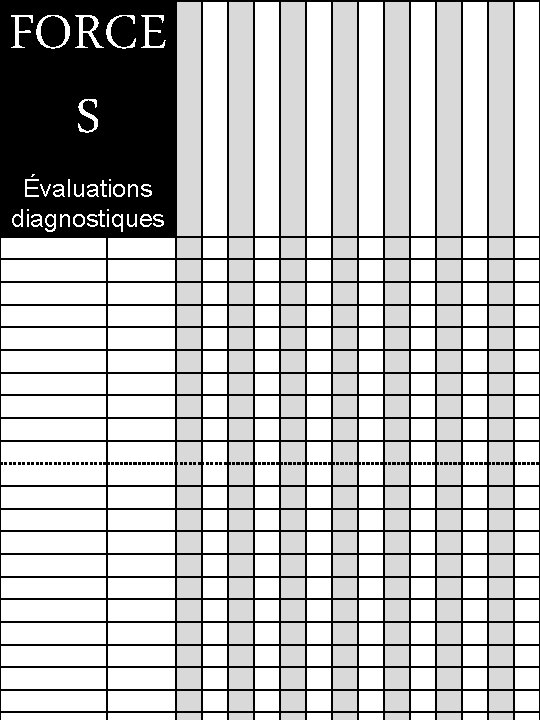 FORCE S Évaluations diagnostiques 