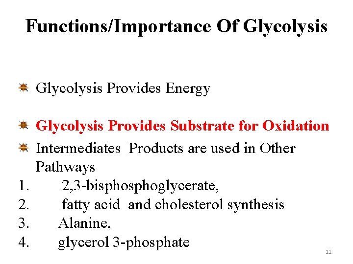 Functions/Importance Of Glycolysis Provides Energy 1. 2. 3. 4. Glycolysis Provides Substrate for Oxidation
