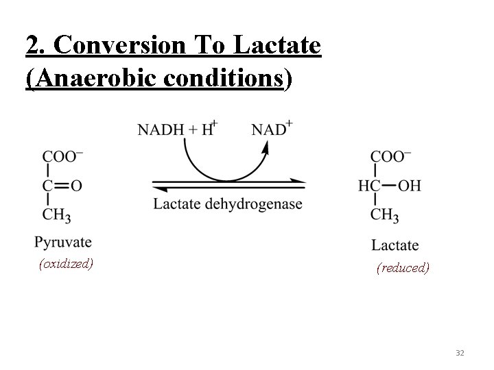 2. Conversion To Lactate (Anaerobic conditions) (oxidized) (reduced) 32 