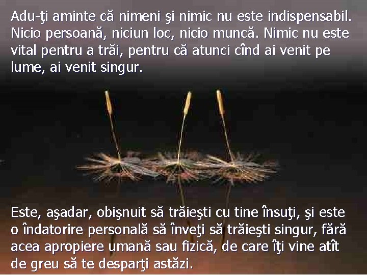 Adu-ţi aminte că nimeni şi nimic nu este indispensabil. Nicio persoană, niciun loc, nicio