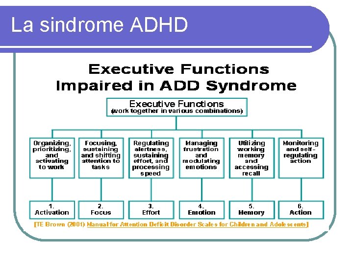 La sindrome ADHD 