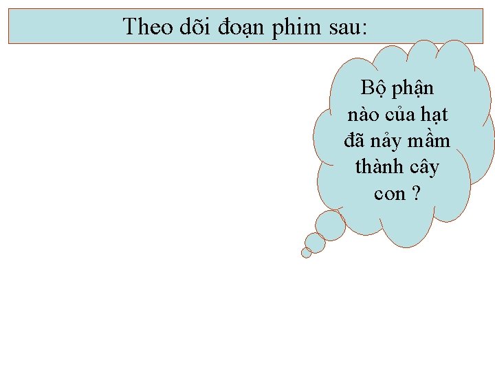 Theo dõi đoạn phim sau: Bộ phận nào của hạt đã nảy mầm thành