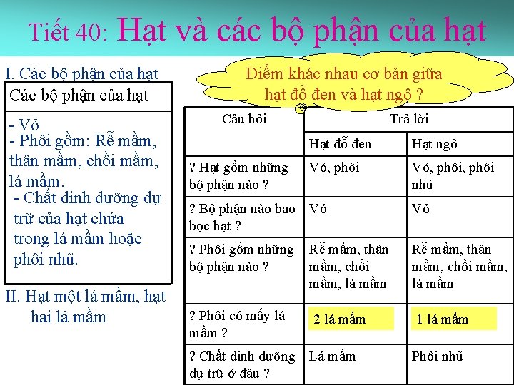 Tiết 40: Hạt và các bộ phận của hạt I. Các bộ phận của