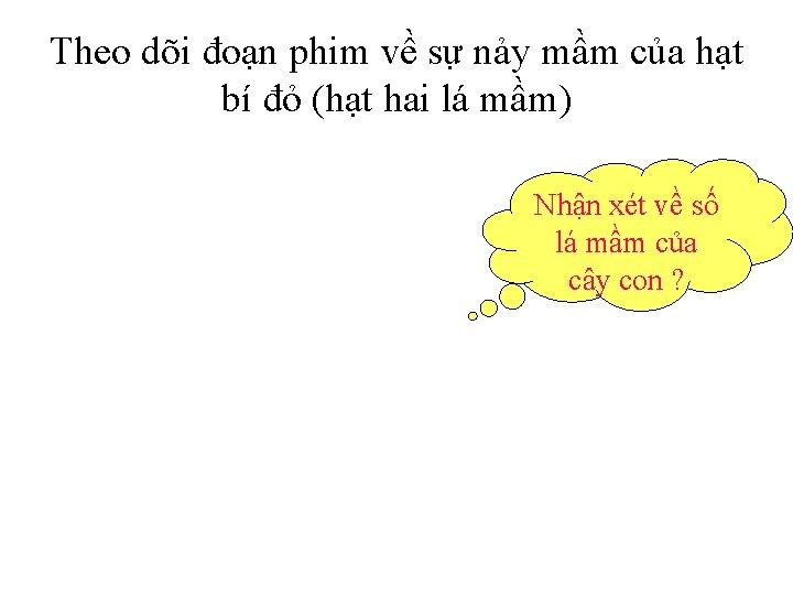 Theo dõi đoạn phim về sự nảy mầm của hạt bí đỏ (hạt hai