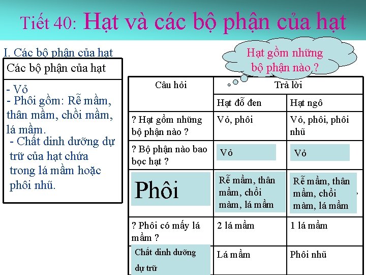 Tiết 40: Hạt và các bộ phận của hạt I. Các bộ phận của