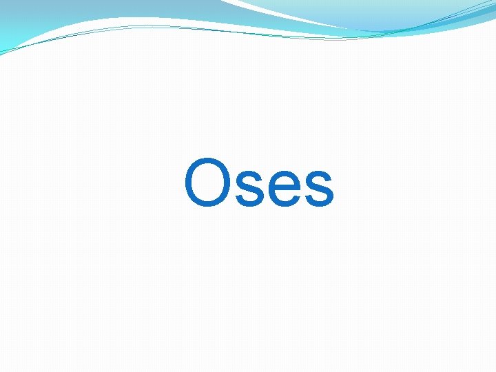 Oses 