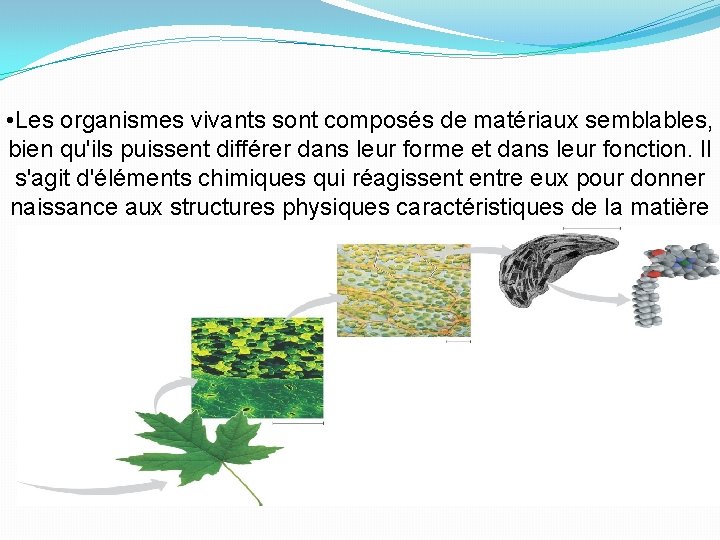  • Les organismes vivants sont composés de matériaux semblables, bien qu'ils puissent différer