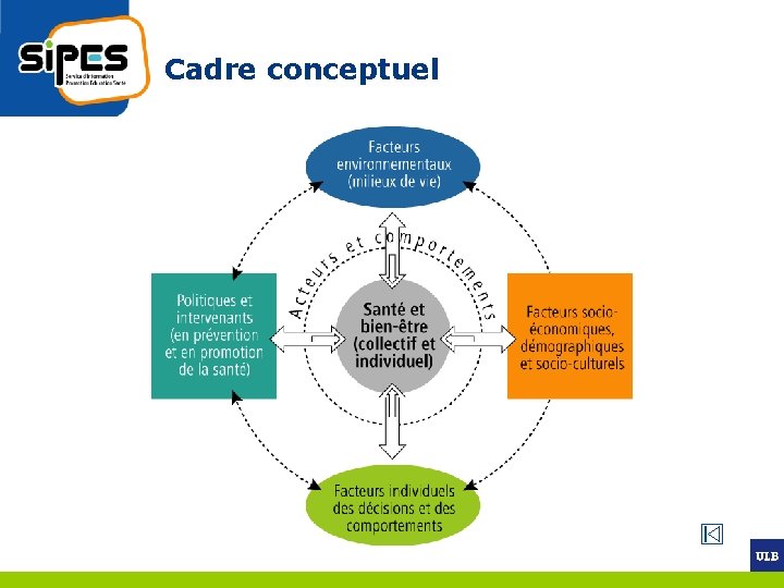 Cadre conceptuel 