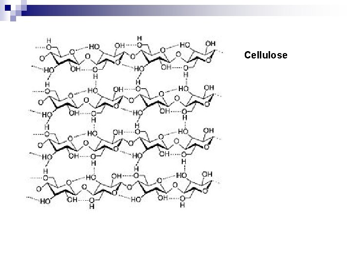 Cellulose 