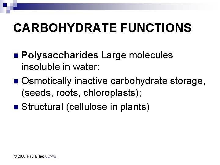 CARBOHYDRATE FUNCTIONS Polysaccharides Large molecules insoluble in water: n Osmotically inactive carbohydrate storage, (seeds,