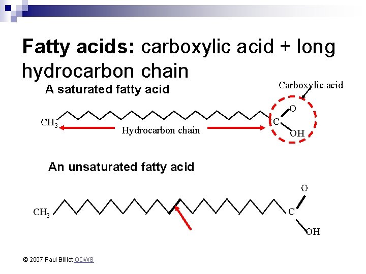 Fatty acids: carboxylic acid + long hydrocarbon chain A saturated fatty acid Carboxylic acid