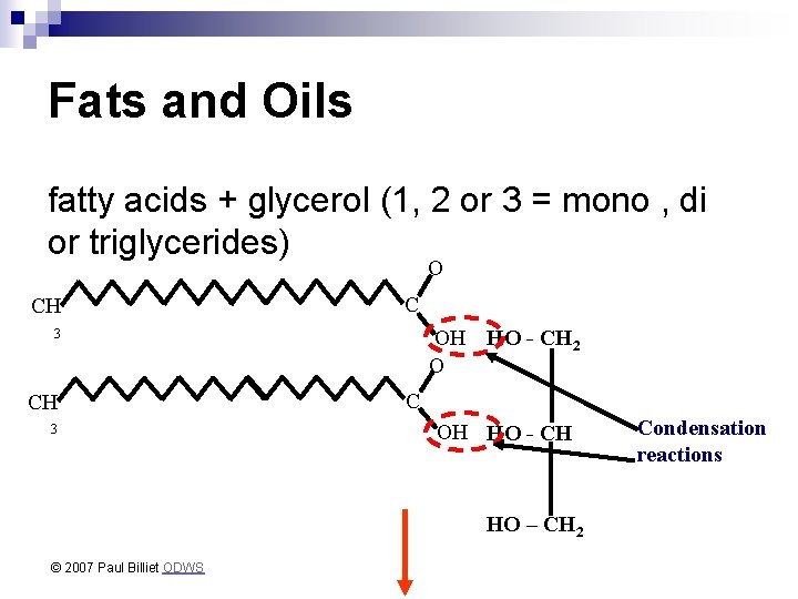 Fats and Oils fatty acids + glycerol (1, 2 or 3 = mono ,