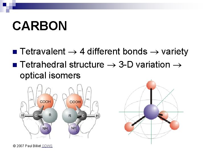 CARBON Tetravalent 4 different bonds variety n Tetrahedral structure 3 -D variation optical isomers
