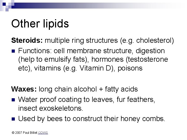 Other lipids Steroids: multiple ring structures (e. g. cholesterol) n Functions: cell membrane structure,