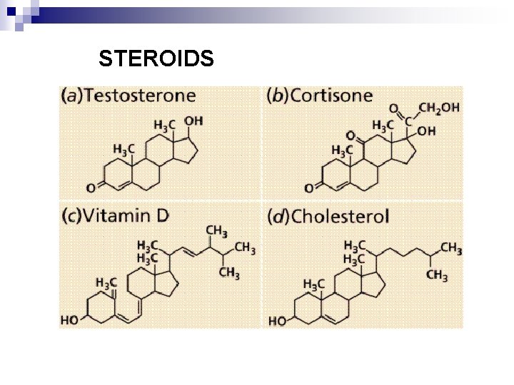 STEROIDS 