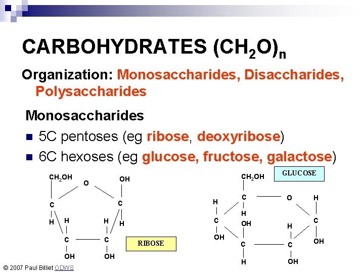 CARBOHYDRATES (CH 2 O)n Organization: Monosaccharides, Disaccharides, Polysaccharides Monosaccharides n 5 C pentoses (eg