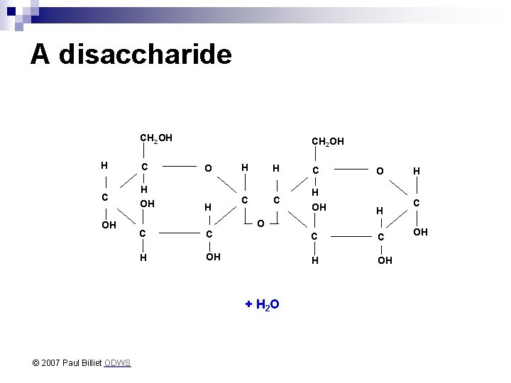 A disaccharide CH 2 OH H C C H OH OH O H H