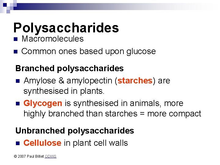 Polysaccharides n n Macromolecules Common ones based upon glucose Branched polysaccharides n Amylose &