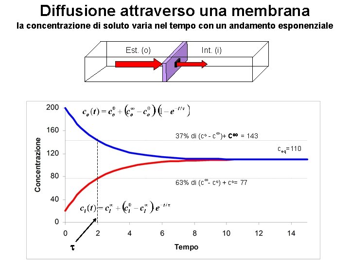 Diffusione attraverso una membrana la concentrazione di soluto varia nel tempo con un andamento