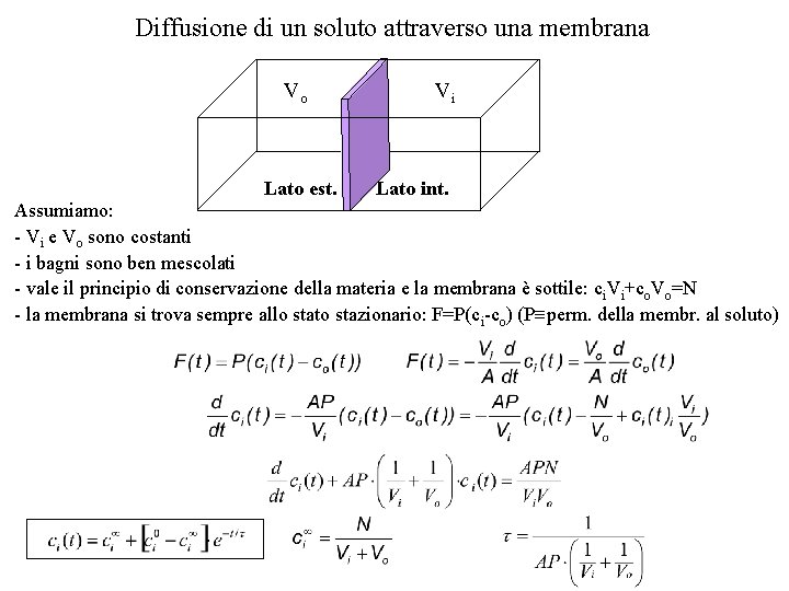 Diffusione di un soluto attraverso una membrana Vo Lato est. Vi Lato int. Assumiamo: