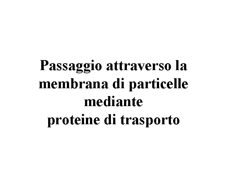 Passaggio attraverso la membrana di particelle mediante proteine di trasporto 