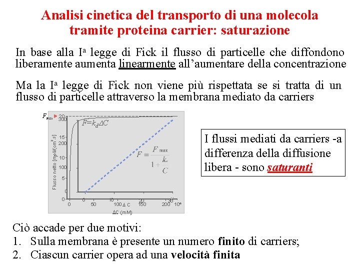 Analisi cinetica del transporto di una molecola tramite proteina carrier: saturazione In base alla