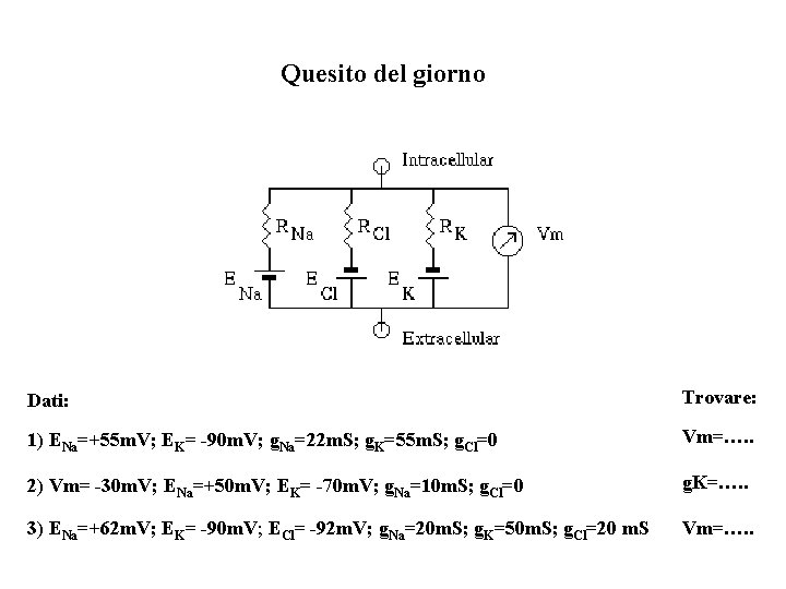 Quesito del giorno Dati: Trovare: 1) ENa=+55 m. V; EK= -90 m. V; g.