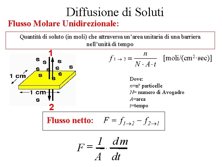 Diffusione di Soluti Flusso Molare Unidirezionale: Quantità di soluto (in moli) che attraversa un’area