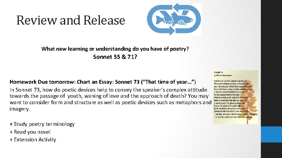 Review and Release What new learning or understanding do you have of poetry? Sonnet