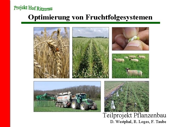 Optimierung von Fruchtfolgesystemen Teilprojekt Pflanzenbau D. Westphal, R. Loges, F. Taube 