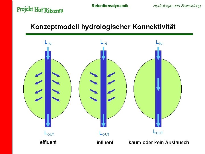 Retentionsdynamik Hydrologie und Beweidung Konzeptmodell hydrologischer Konnektivität LIN LIN LOUT effluent influent kaum oder