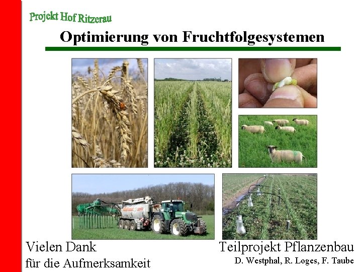 Optimierung von Fruchtfolgesystemen Vielen Dank für die Aufmerksamkeit Teilprojekt Pflanzenbau D. Westphal, R. Loges,