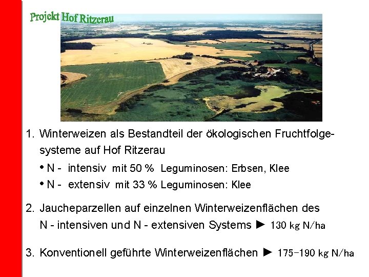 1. Winterweizen als Bestandteil der ökologischen Fruchtfolgesysteme auf Hof Ritzerau • N - intensiv