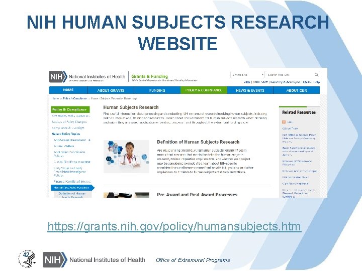 NIH HUMAN SUBJECTS RESEARCH WEBSITE https: //grants. nih. gov/policy/humansubjects. htm 42 Office of Extramural