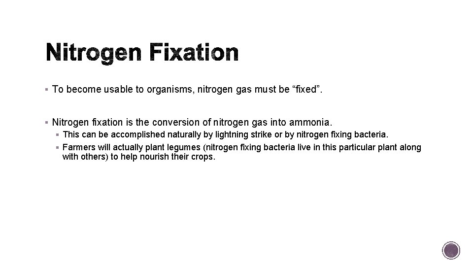 § To become usable to organisms, nitrogen gas must be “fixed”. § Nitrogen fixation