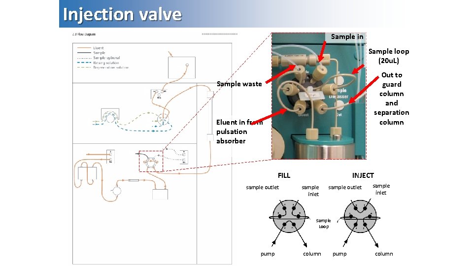 Injection valve Sample in Sample loop (20 u. L) Out to guard column and