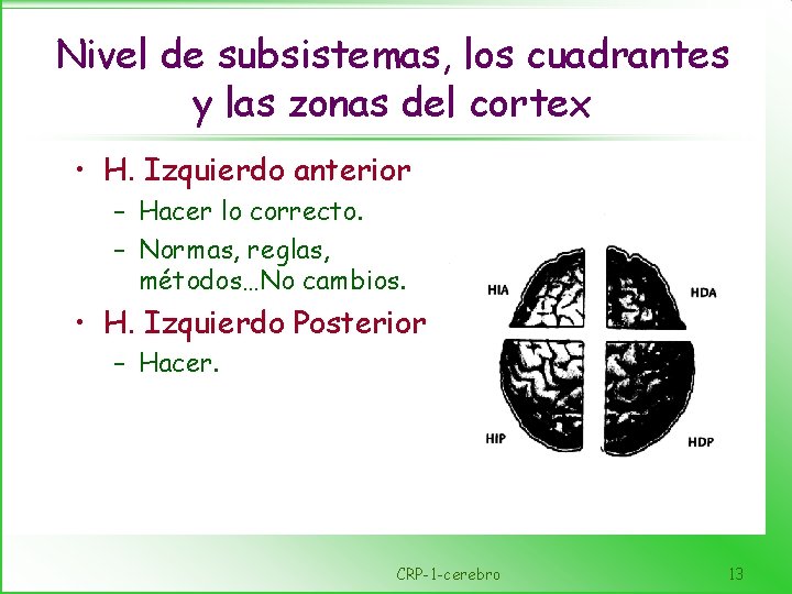 Nivel de subsistemas, los cuadrantes y las zonas del cortex • H. Izquierdo anterior