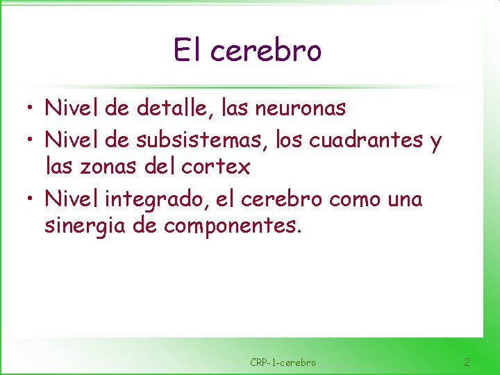 El cerebro • Nivel de detalle, las neuronas • Nivel de subsistemas, los cuadrantes