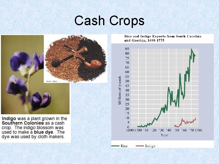 Cash Crops 